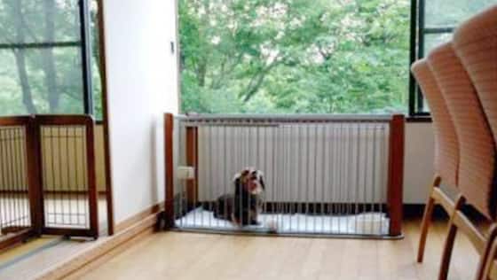 ホテルラフォーレ修善寺