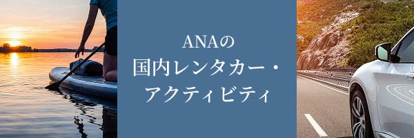 ANAの国内レンタカー・アクティビティ