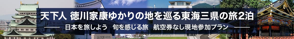 天下人 徳川家康ゆかりの地を巡る東海三県の旅2泊 日本を旅しよう旬を感じる旅 航空券なし現地参加プラン
