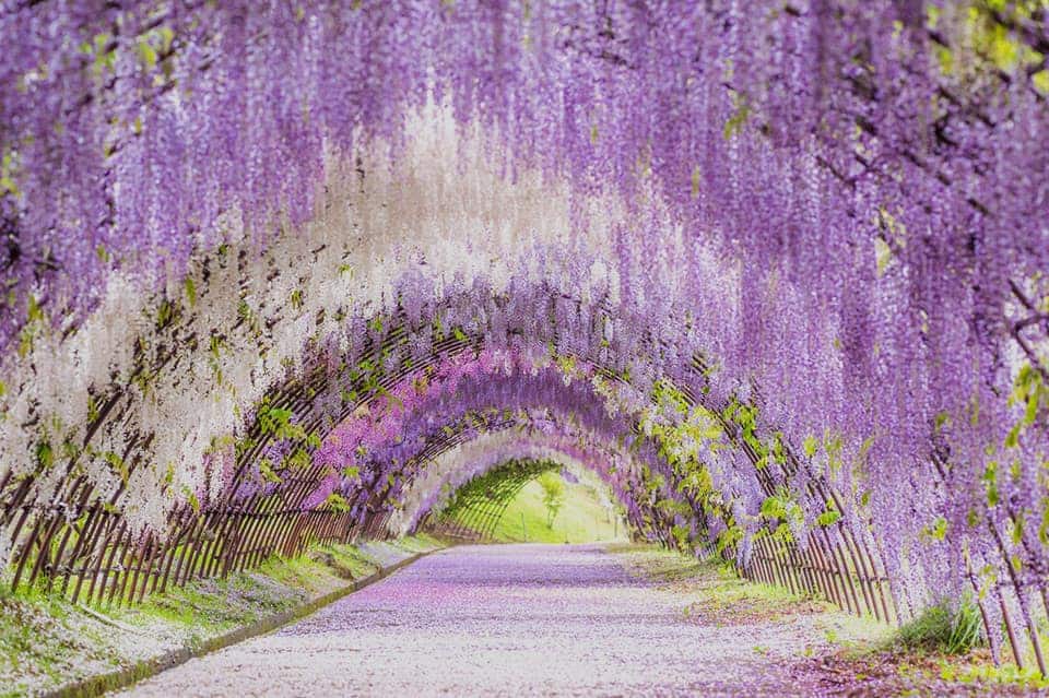 ANAで行くおすすめ国内旅行・ツアー