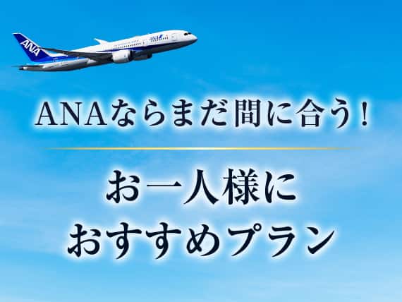 ANAならまだ間に合う！お一人様におすすめプラン