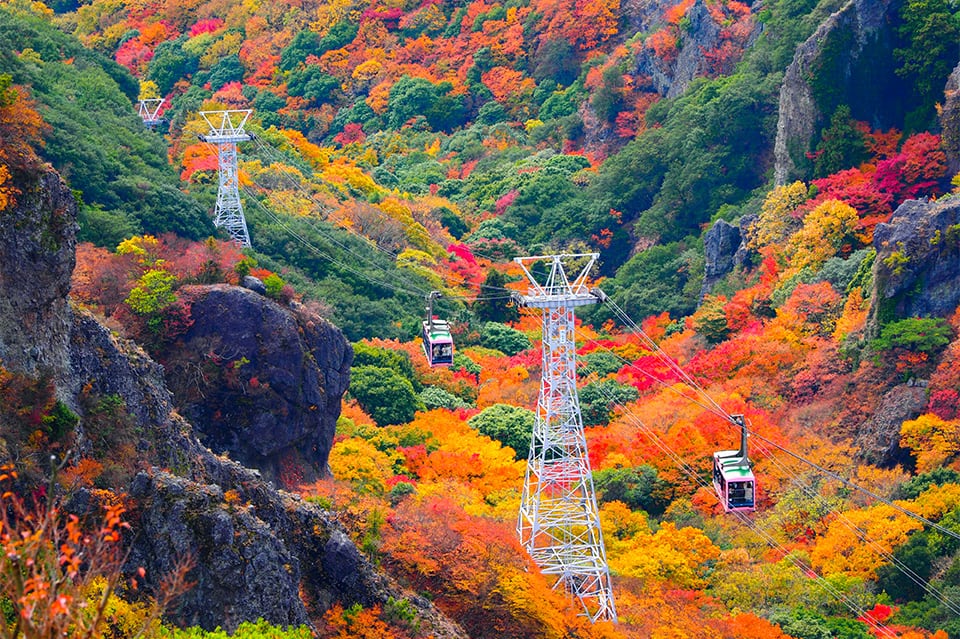 ANAで行くおすすめ国内旅行・ツアー