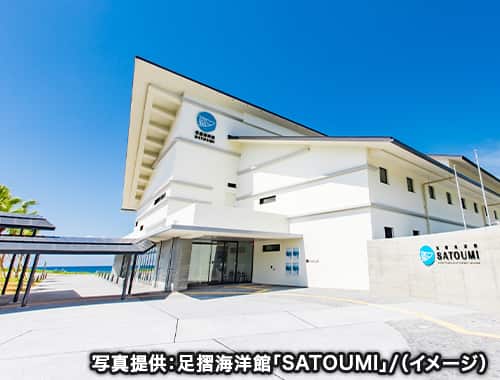 写真提供：足摺海洋館「SATOUMI」/（イメージ）