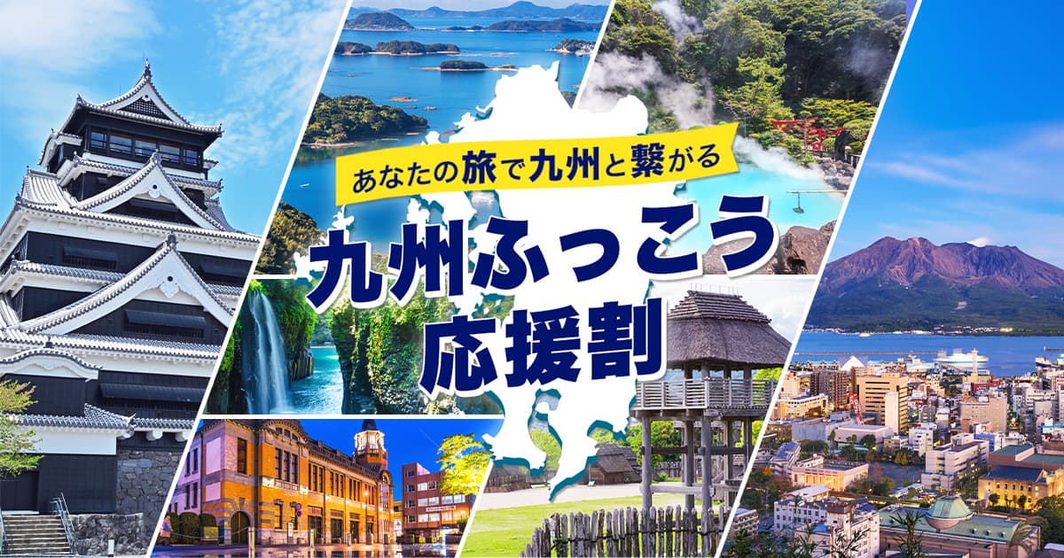 【はむっこ様】専用・青360g≪フォロー割特価≫ 九州ふっこう応援割|ANA