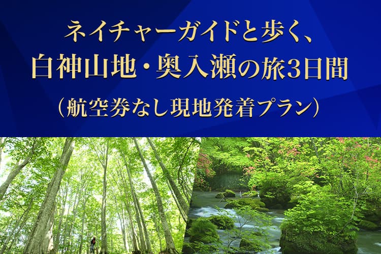 ネイチャーガイドと歩く、白神山地・奥入瀬の旅3日間（航空券なし現地発着プラン）