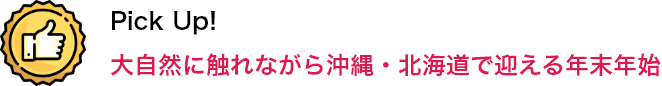 Pick Up！ 大自然に触れながら沖縄・北海道で迎える年末年始