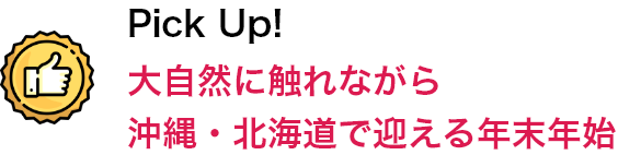 Pick Up！ 大自然に触れながら沖縄・北海道で迎える年末年始