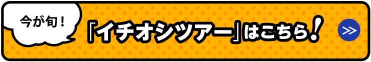 「イチオシツアー」はこちら!