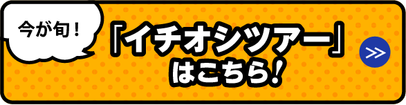 「イチオシツアー」はこちら!