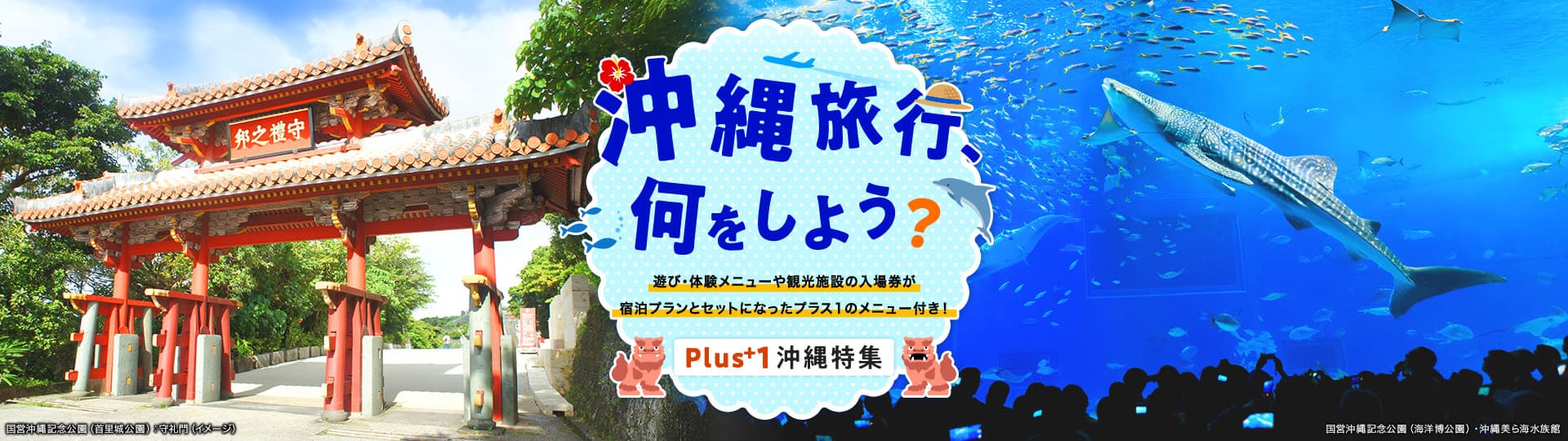 プラス1沖縄特集 沖縄旅行、何をしよう？ 遊び・体験メニューや観光施設の入場券が宿泊プランとセットになったプラス1のメニュー付き！ 国営沖縄記念公園（首里城公園）守礼門・国営沖縄記念公園（海洋博公園）沖縄美ら海水族館のイメージ写真