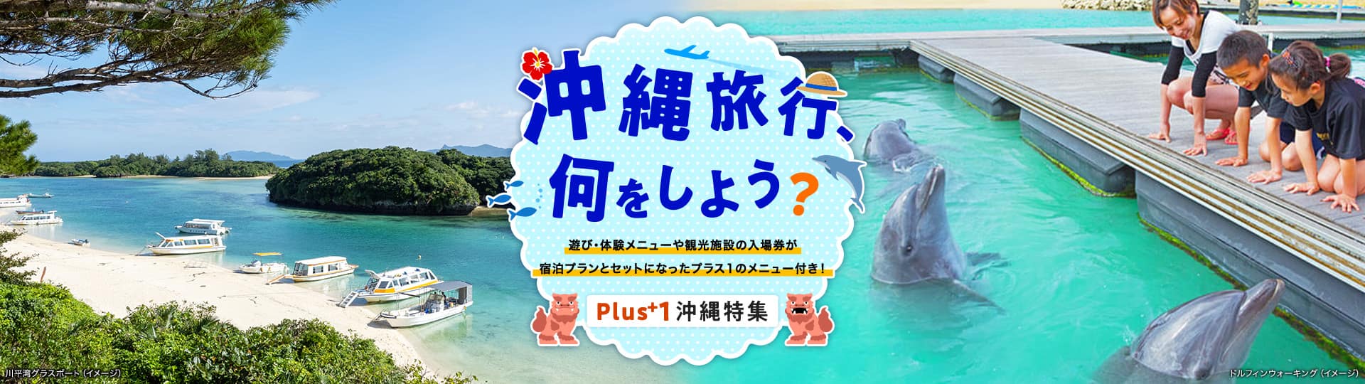 プラス1沖縄特集 沖縄旅行、何をしよう？ 遊び・体験メニューや観光施設の入場券が宿泊プランとセットになったプラス1のメニュー付き！ 川平湾グラスボート、ドルフィンウォーキングのイメージ写真
