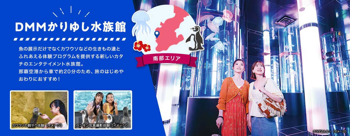 南部エリア DMMかりゆし水族館 魚の展示だけでなくカワウソなどの生きもの達とふれあえる体験プログラムを提供する新しいカタチのエンタテイメント水族館。那覇空港から車で約20分のため、旅のはじめやおわりにおすすめ！ クラゲが泳ぐおおきな円柱水槽が立ち並ぶクラゲよんなー、カワウソの餌やり体験やペンギンとの写真撮影体験のイメージ写真