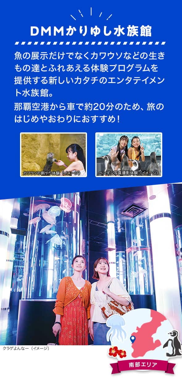 南部エリア DMMかりゆし水族館 魚の展示だけでなくカワウソなどの生きもの達とふれあえる体験プログラムを提供する新しいカタチのエンタテイメント水族館。那覇空港から車で約20分のため、旅のはじめやおわりにおすすめ！ クラゲが泳ぐおおきな円柱水槽が立ち並ぶクラゲよんなー、カワウソの餌やり体験やペンギンとの写真撮影体験のイメージ写真