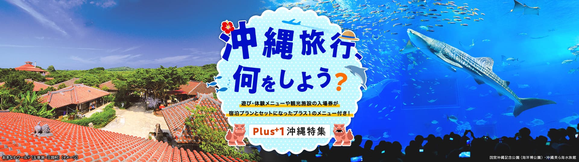 遊び・体験メニューや観光施設の入場券が宿泊プランとセットになったプラス1のメニュー付き！ おきなわワールド（玉泉洞・王国村）、国営沖縄記念公園（海洋博公園）・沖縄美ら海水族館のイメージ写真
