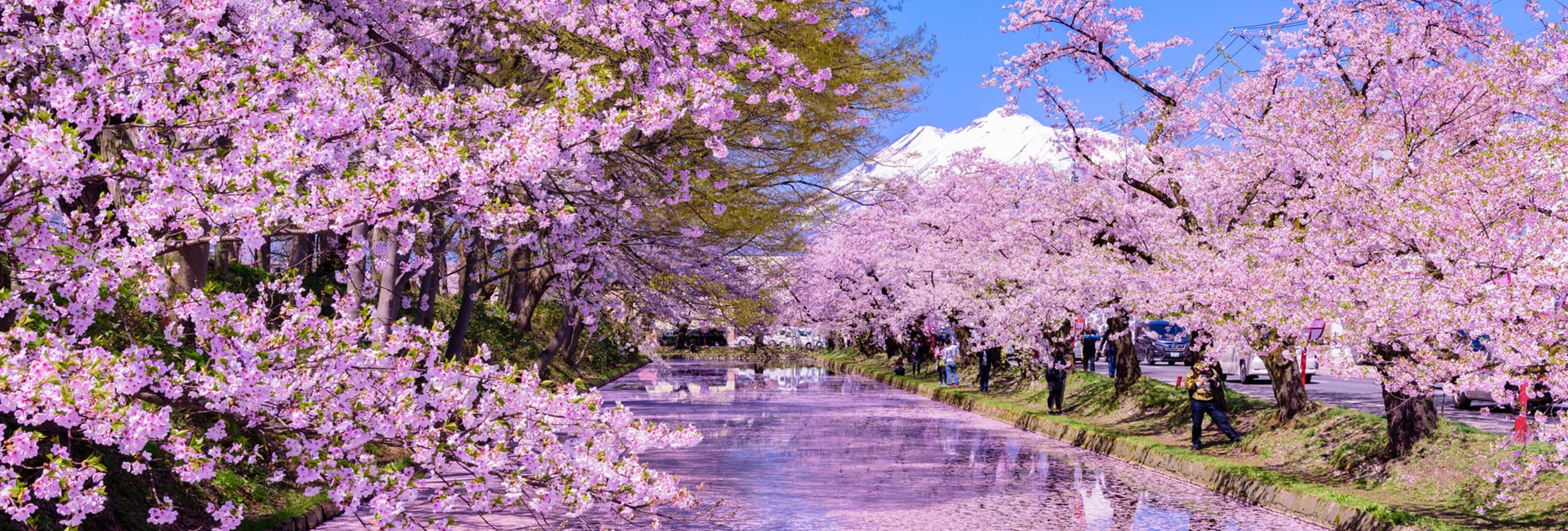 GWの東北旅行2023 仙台や秋田へのおすすめツアー・ホテル|ANA