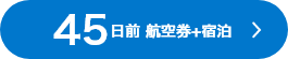 45日前 航空券+宿泊