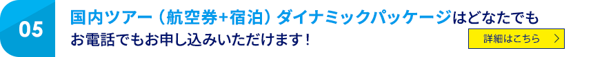 05 国内ツアー(航空券+宿泊)ダイナミックパッケージはどなたでもお電話でもお申し込みいただけます! 詳細はこちら