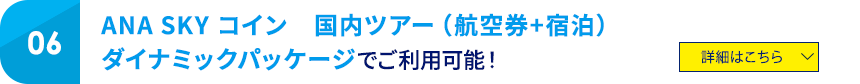 06 ANA SKY コイン 国内ツアー(航空券+宿泊)ダイナミックパッケージでご利用可能! 詳細はこちら