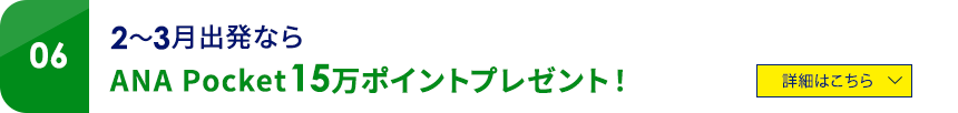 06 2・3月出発ならANA Pocket15万ポイントプレゼント！　詳細はこちら