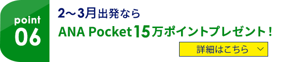 06 2・3月出発ならANA Pocket15万ポイントプレゼント！　詳細はこちら