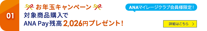 01 ANAマイレージクラブ会員様限定！ お年玉キャンペーン　対象商品購入でANA Pay残高2,026円プレゼント！ 詳細はこちら