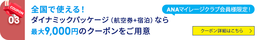 03 ANAマイレージクラブ会員様限定！ 全国で使える！ダイナミックパッケージ（航空券+宿泊）なら最大9,000円のクーポンをご用意 クーポン詳細はこちら