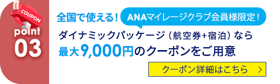 03 ANAマイレージクラブ会員様限定！ 全国で使える！ダイナミックパッケージ（航空券+宿泊）なら最大9,000円のクーポンをご用意 クーポン詳細はこちら