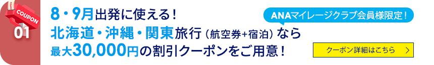 01 ANAマイレージクラブ会員様限定！ 8・9月出発に使える！　北海道・沖縄・関東旅行（航空券+宿泊）なら最大30,000円の割引クーポンをご用意！ クーポン詳細はこちら