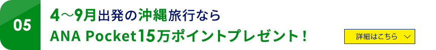 05 4～9月出発の沖縄旅行なら ANA Pocket15万ポイントプレゼント！ 詳細はこちら