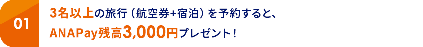 01 3名以上の旅行（航空券+宿泊）を予約すると、ANAPay残高3,000円プレゼント！