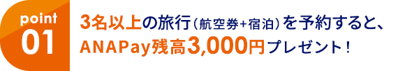 01 3名以上の旅行（航空券+宿泊）を予約すると、ANAPay残高3,000円プレゼント！ 