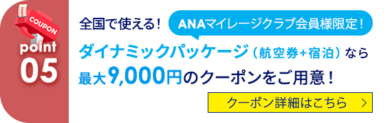 05 ANAマイレージクラブ会員様限定！ 全国で使える！ ダイナミックパッケージ（航空券+宿泊）なら最大9,000円のクーポンをご用意！ クーポン詳細はこちら