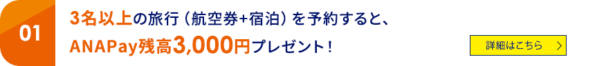 01 3名以上の旅行（航空券+宿泊）を予約すると、ANAPay残高3,000円プレゼント！ 詳細はこちら