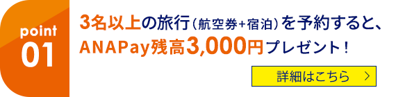 01 3名以上の旅行（航空券+宿泊）を予約すると、ANAPay残高3,000円プレゼント！ 詳細はこちら