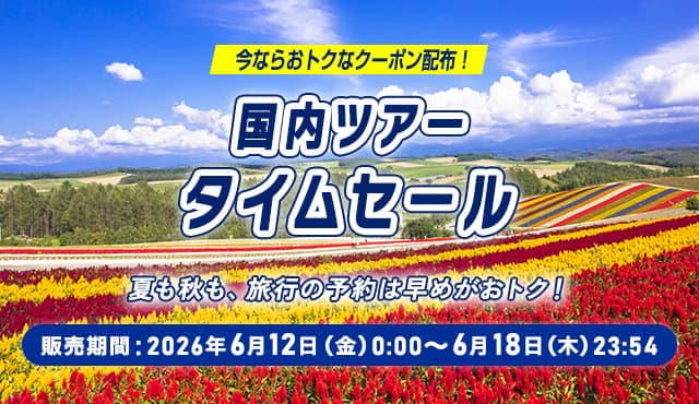 国内ツアータイムセール|ANA