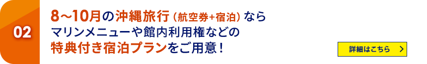 02 8～10月の沖縄旅行（航空券+宿泊）ならマリンメニューや館内利用権などの特典付き宿泊プランをご用意！ 詳細はこちら