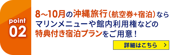 02 8～10月の沖縄旅行（航空券+宿泊）ならマリンメニューや館内利用権などの特典付き宿泊プランをご用意！ 詳細はこちら