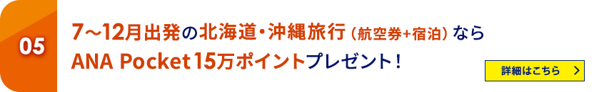 05 7～12月出発の北海道・沖縄旅行（航空券+宿泊）ならANA Pocket15万ポイントプレゼント！ 詳細はこちら