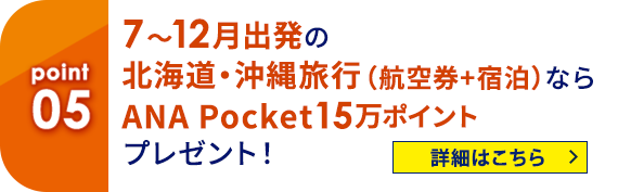 05 7～12月出発の北海道・沖縄旅行（航空券+宿泊）ならANA Pocket15万ポイントプレゼント！ 詳細はこちら