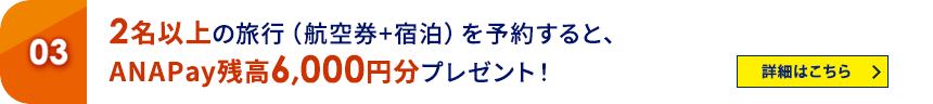 03 2名以上の旅行（航空券＋宿泊）を予約すると、ANA Pay残高6,000円分プレゼント！ 詳細はこちら