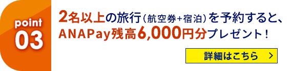03 2名以上の旅行（航空券＋宿泊）を予約すると、ANA Pay残高6,000円分プレゼント！ 詳細はこちら