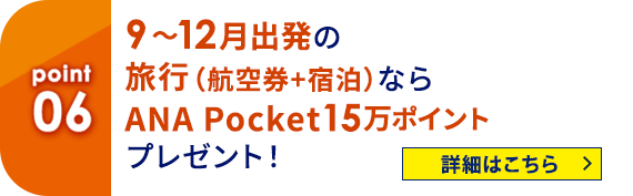 06 9～12月出発の旅行（航空券＋宿泊）ならANA Pocket15万ポイントプレゼント！ 詳細はこちら