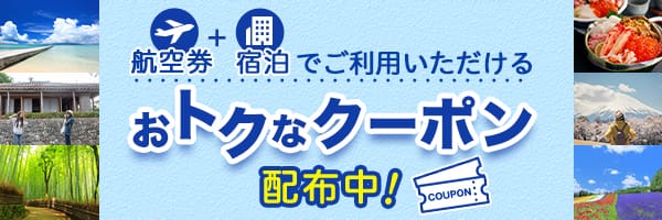 ANA期間限定お値下げ中‼️