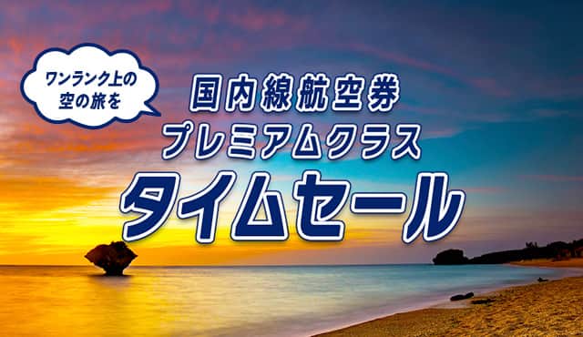 期間限定！ANA SUPER VALUE PREMIUM 28 タイムセール|ANA