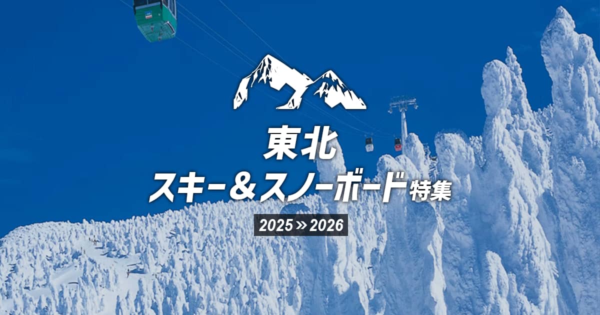 ANAスキースノボ北海道25hキャンペーン 非売品POP看板 ANAスキースノボ北海道25hキャンペーン 非売品POP看板