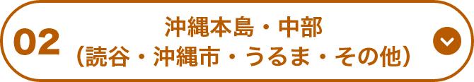 02 沖縄本島・中部（読谷・沖縄市・うるま・その他）