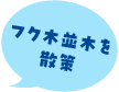 フク木並木を散策