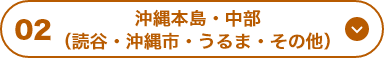 02 沖縄本島・中部（読谷・沖縄市・うるま・その他）