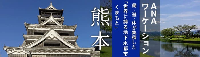 ANAワーケーション熊本　働・遊・休が集積した「世界に誇る地下水都市・くまもと」
