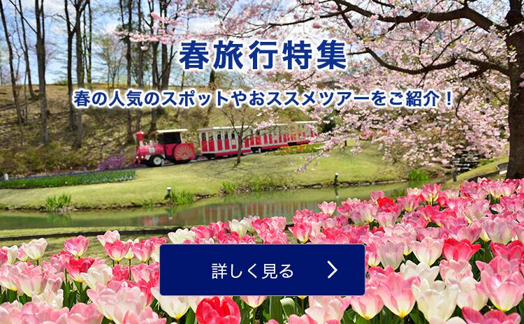 Anaの山陰 山陽 四国旅行 ツアー 飛行機で行くマイルが貯まるおすすめプラン 山陰 山陽 四国旅行 ツアー Ana